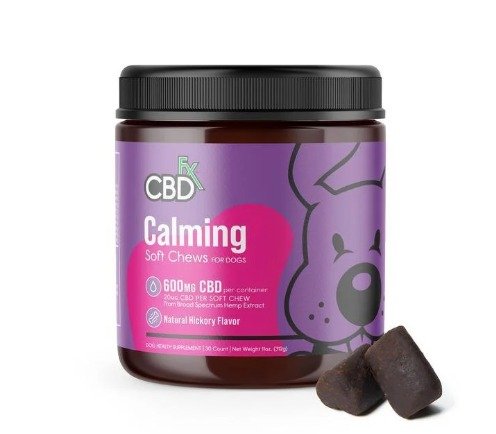 WhatsApp Image 2025-10-02 at 1.23.59 AM