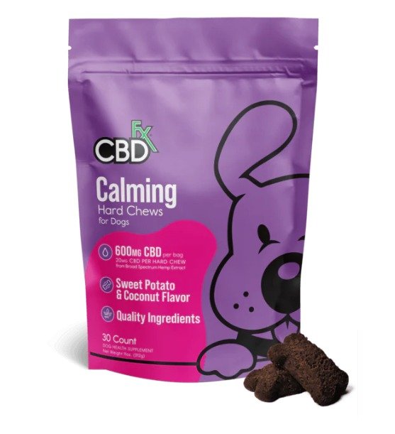 WhatsApp Image 2025-10-02 at 1.24.21 AM