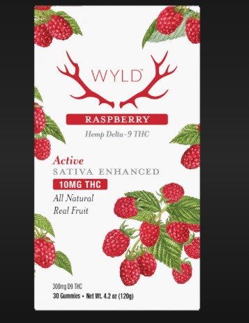 WhatsApp Image 2025-10-04 at 9.54.40 AM